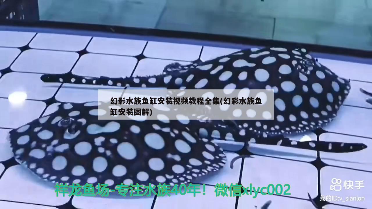 幻影水族鱼缸安装视频教程全集(幻彩水族鱼缸安装图解)