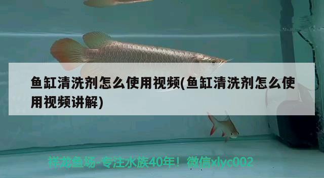 鱼缸清洗剂怎么使用视频(鱼缸清洗剂怎么使用视频讲解) 水族维护服务（上门）