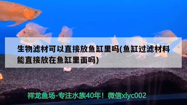 生物滤材可以直接放鱼缸里吗(鱼缸过滤材料能直接放在鱼缸里面吗)