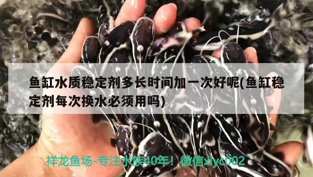 鱼缸水质稳定剂多长时间加一次好呢(鱼缸稳定剂每次换水必须用吗) 羽毛刀鱼苗