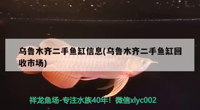 乌鲁木齐二手鱼缸信息(乌鲁木齐二手鱼缸回收市场) 金头过背金龙鱼