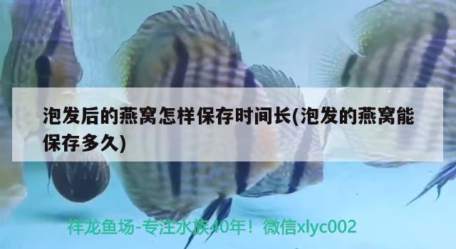 泡发后的燕窝怎样保存时间长(泡发的燕窝能保存多久) 马来西亚燕窝