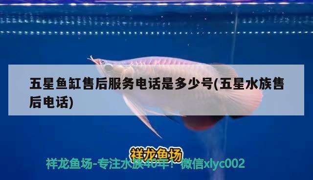 五星鱼缸售后服务电话是多少号(五星水族售后电话)