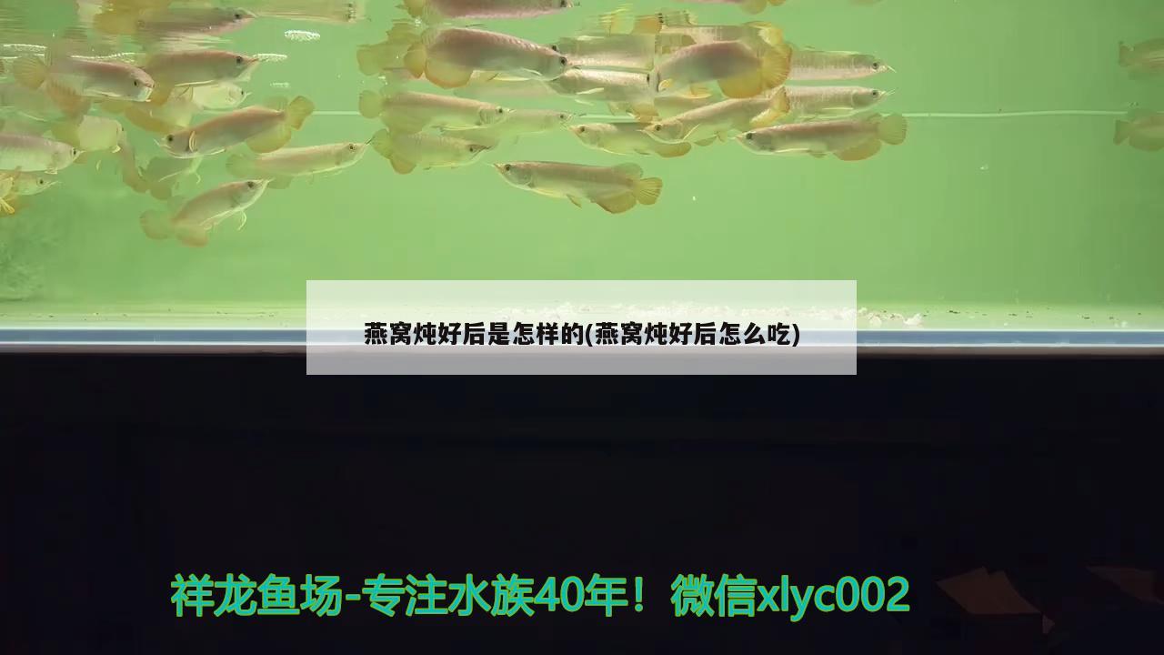 燕窝炖好后是怎样的(燕窝炖好后怎么吃) 马来西亚燕窝