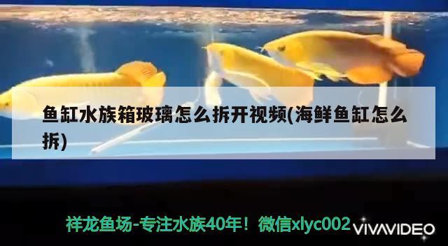 鱼缸水族箱玻璃怎么拆开视频(海鲜鱼缸怎么拆) 鱼缸/水族箱