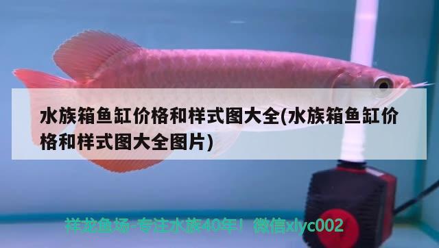 水族箱鱼缸价格和样式图大全(水族箱鱼缸价格和样式图大全图片) 鱼缸/水族箱