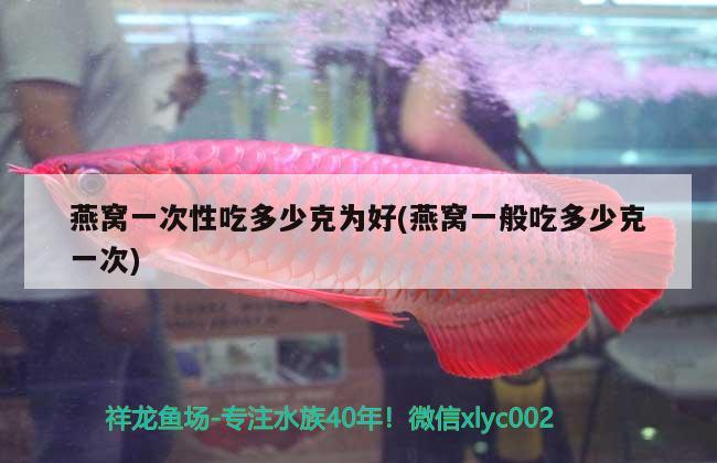 南美水族论坛天津板块（日照观赏鱼交易市场） 印尼小红龙 第1张