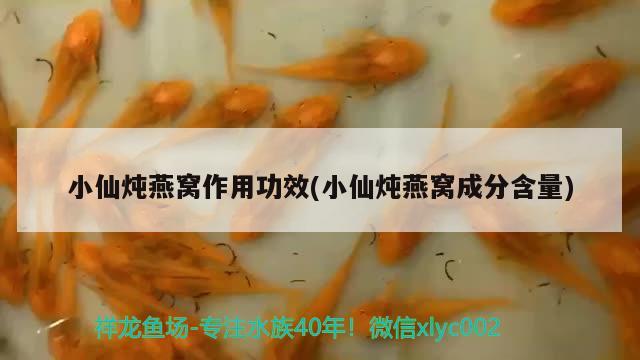 小仙炖燕窝作用功效(小仙炖燕窝成分含量) 马来西亚燕窝