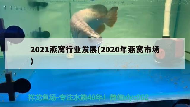 2021燕窝行业发展(2020年燕窝市场)