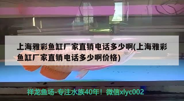 上海雅彩鱼缸厂家直销电话多少啊(上海雅彩鱼缸厂家直销电话多少啊价格) 喂食器