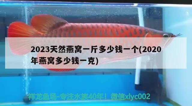 2023天然燕窝一斤多少钱一个(2020年燕窝多少钱一克) 马来西亚燕窝