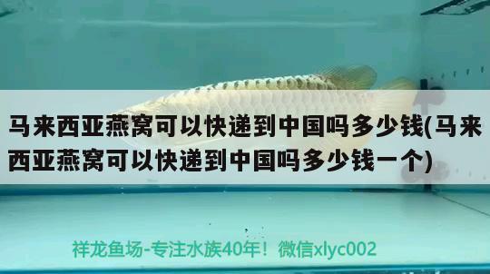 马来西亚燕窝可以快递到中国吗多少钱(马来西亚燕窝可以快递到中国吗多少钱一个) 马来西亚燕窝