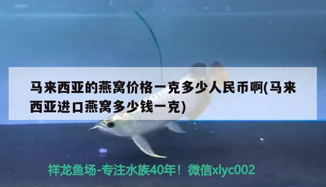 马来西亚的燕窝价格一克多少人民币啊(马来西亚进口燕窝多少钱一克) 马来西亚燕窝