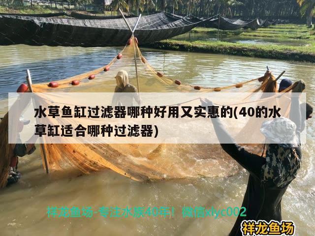 金华鱼缸批发市场在哪里有卖：金华鱼具市场在哪里 广州水族批发市场 第2张