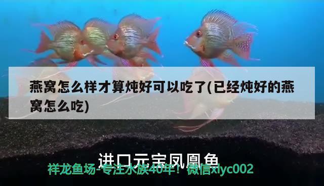 燕窝怎么样才算炖好可以吃了(已经炖好的燕窝怎么吃) 马来西亚燕窝