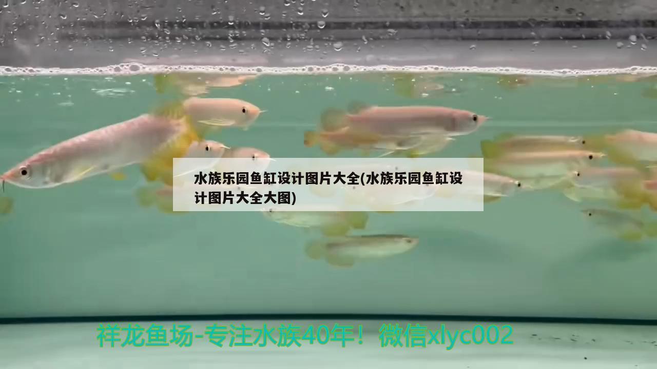 水族乐园鱼缸设计图片大全(水族乐园鱼缸设计图片大全大图) 超血红龙鱼