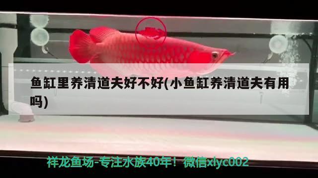 盘锦市兴隆台区吉思洋水族馆 全国水族馆企业名录 第3张