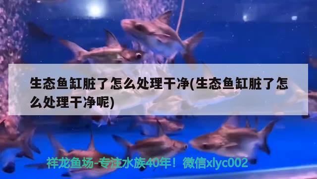 佛山市禅城区千业花店 全国水族馆企业名录 第1张