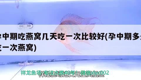 鱼缸制冷机维修视频教程下载（鱼缸和制冷机如何彼配） 潜水艇鱼