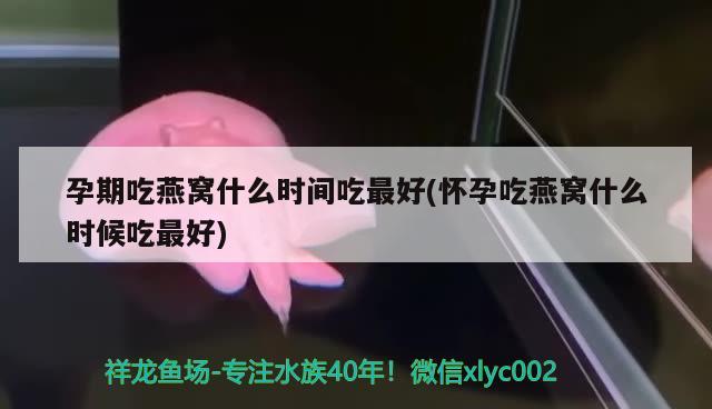 90*45*60厘米的鱼缸需要拉筋吗，自制80*65*55鱼缸8公分鱼缸要拉筋包边不