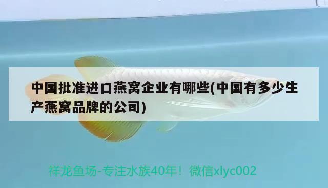 中国批准进口燕窝企业有哪些(中国有多少生产燕窝品牌的公司) 马来西亚燕窝