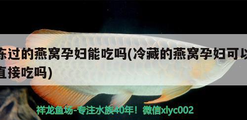 冻过的燕窝孕妇能吃吗(冷藏的燕窝孕妇可以直接吃吗)