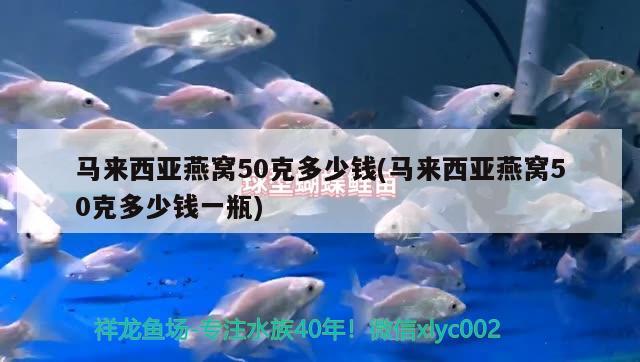 马来西亚燕窝50克多少钱(马来西亚燕窝50克多少钱一瓶) 马来西亚燕窝