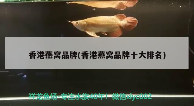 自己怎么给鱼缸加氧气（怎么给鱼缸里加氧气） 充氧泵 第1张