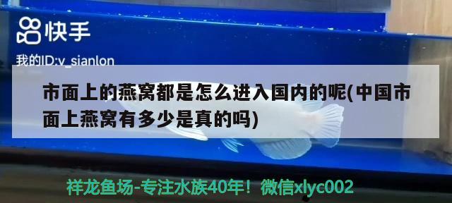 市面上的燕窝都是怎么进入国内的呢(中国市面上燕窝有多少是真的吗) 马来西亚燕窝