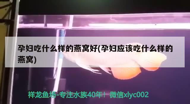 1.8米×0.6鱼缸大概多重，18米鱼缸尺寸规格对应的相关信息，1.8米×0.6鱼缸大概多重、18米鱼缸尺寸规格对应的相关信息 眼斑鱼 第3张