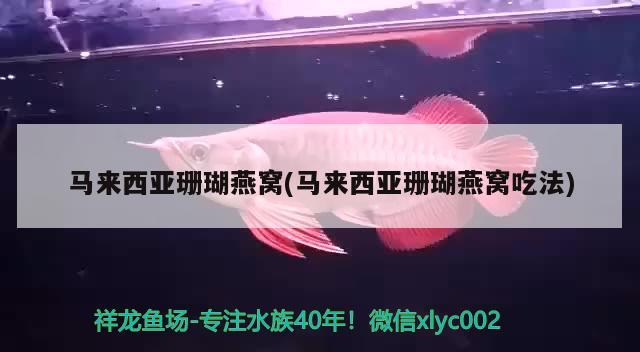 马来西亚珊瑚燕窝(马来西亚珊瑚燕窝吃法) 马来西亚燕窝