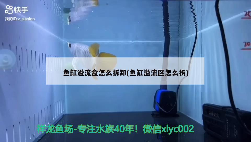 鱼缸溢流盒怎么拆卸(鱼缸溢流区怎么拆) 水族品牌