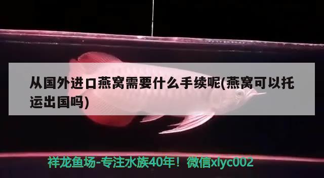 从国外进口燕窝需要什么手续呢(燕窝可以托运出国吗) 马来西亚燕窝