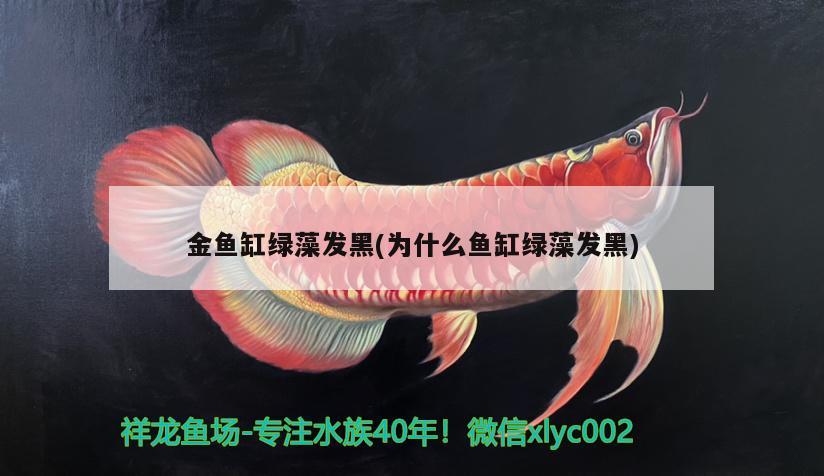 南宁市海神阁水族用品店（南宁市海神阁水族用品店地址） 水族用品 第3张