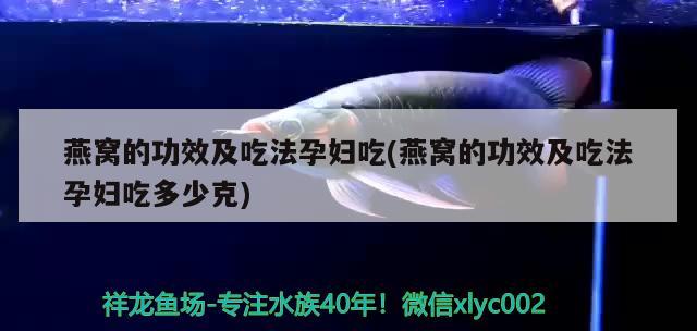 禹州哪里有卖鱼缸的地方啊 禹州哪里有卖鱼缸的地方啊多少钱 大日玉鲭鱼 第2张