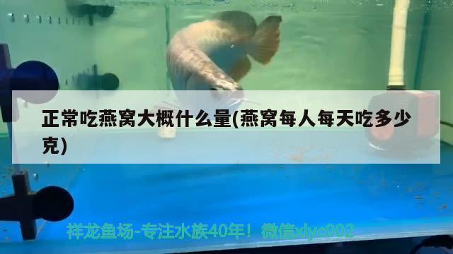 一眉道人鱼是冷水鱼吗（一眉道人是淡水鱼吗） 一眉道人鱼 第3张