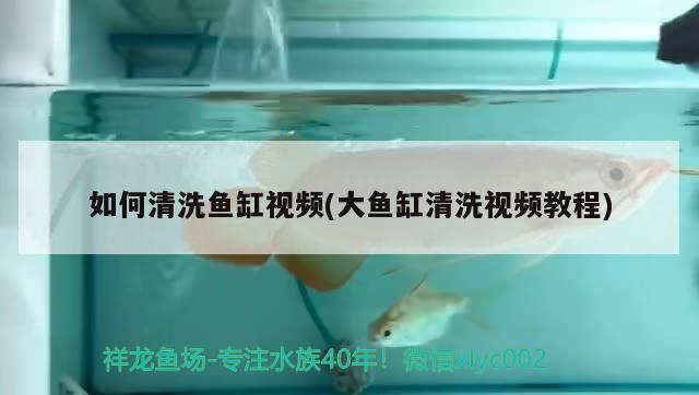 沙河口区花鱼世界花店 全国水族馆企业名录