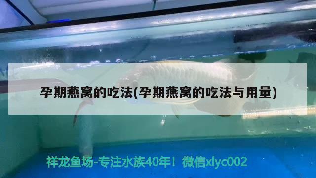 临清市登瀛小区闲茶牧鱼水族店 全国水族馆企业名录 第3张