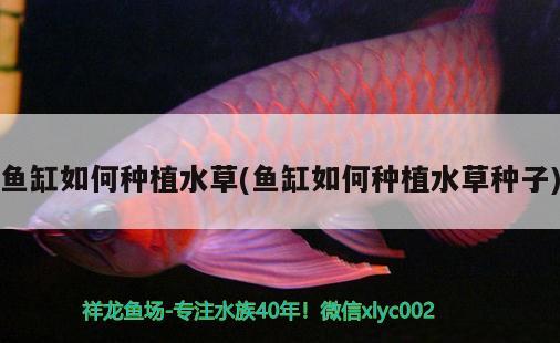 沈阳鱼缸批发市场地址电话号码查询 沈阳哪里有卖鱼缸水族箱