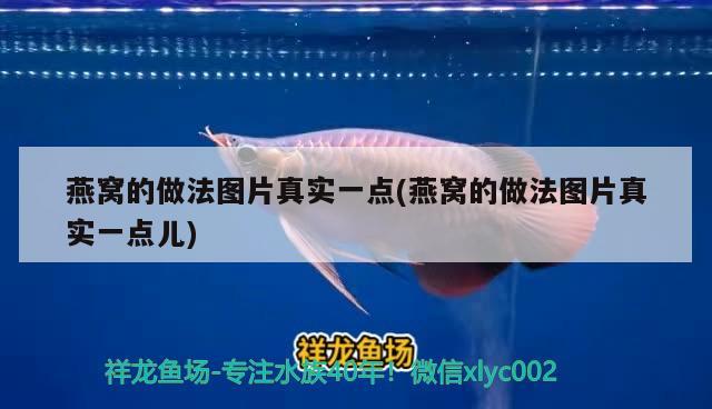 南京定做海鲜池鱼缸店铺（鱼缸制冷机那里有卖） 全国水族馆企业名录 第1张