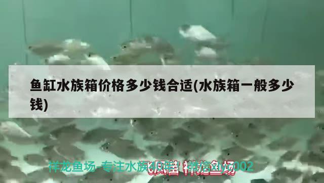 鱼缸水族箱价格多少钱合适(水族箱一般多少钱)