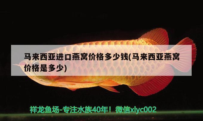 马来西亚进口燕窝价格多少钱(马来西亚燕窝价格是多少) 马来西亚燕窝