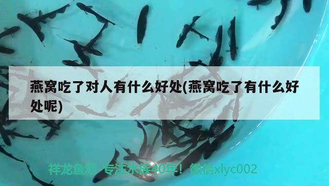 会泽金钟智荣修表店 全国水族馆企业名录 第2张