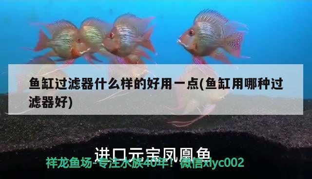 渔具店红虫的保存方法红虫的养殖方法 帝王三间鱼 第2张