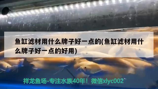 鱼缸滤材用什么牌子好一点的(鱼缸滤材用什么牌子好一点的好用)