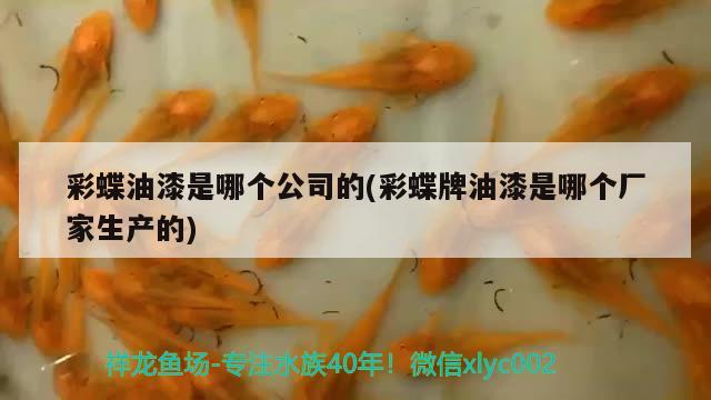 彩蝶油漆是哪个公司的(彩蝶牌油漆是哪个厂家生产的)