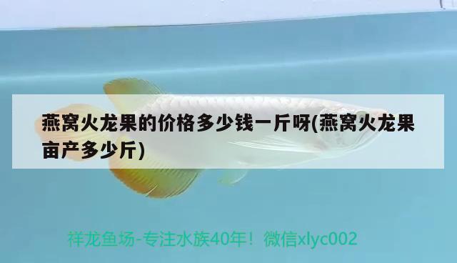 天津水族批发市场祥龙鱼场电话地址是多少（天津水族批发市场祥龙鱼场电话地址是多少号） 观赏鱼水族批发市场 第1张