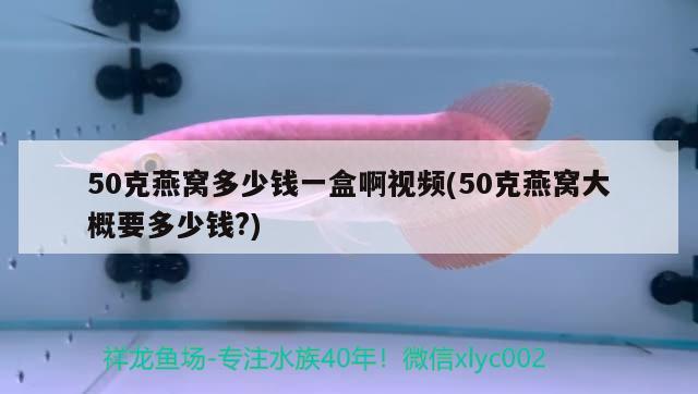 50克燕窝多少钱一盒啊视频(50克燕窝大概要多少钱?)