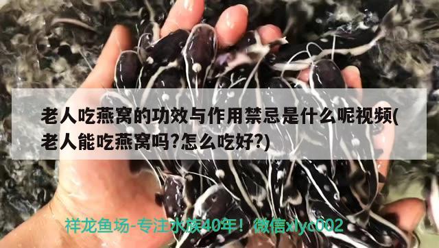 老人吃燕窝的功效与作用禁忌是什么呢视频(老人能吃燕窝吗?怎么吃好?) 马来西亚燕窝