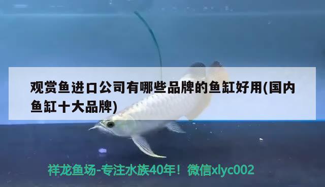 买玻璃自己做鱼缸可以吗视频(自制玻璃鱼缸制作方法) 铁甲武士 第2张